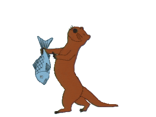 otter gif